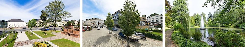 Die Stadt Limbach-Oberfrohna